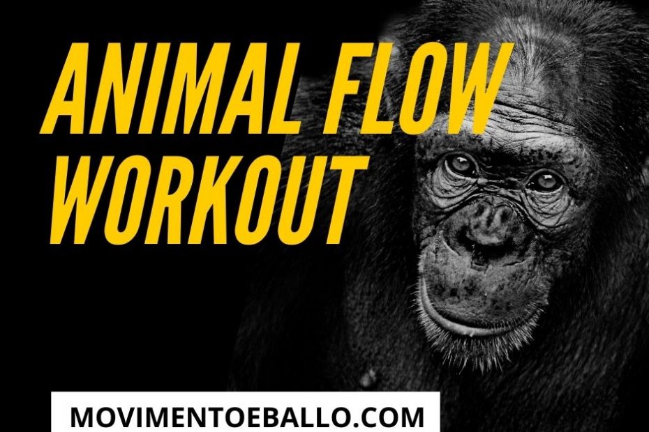 animal flow workout training